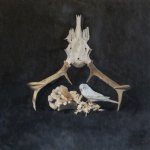 Dimensions 22x20 Title Little White Bird With Antlers