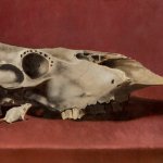 Dimensions 16x23 Title Bison Skull With White Mouse